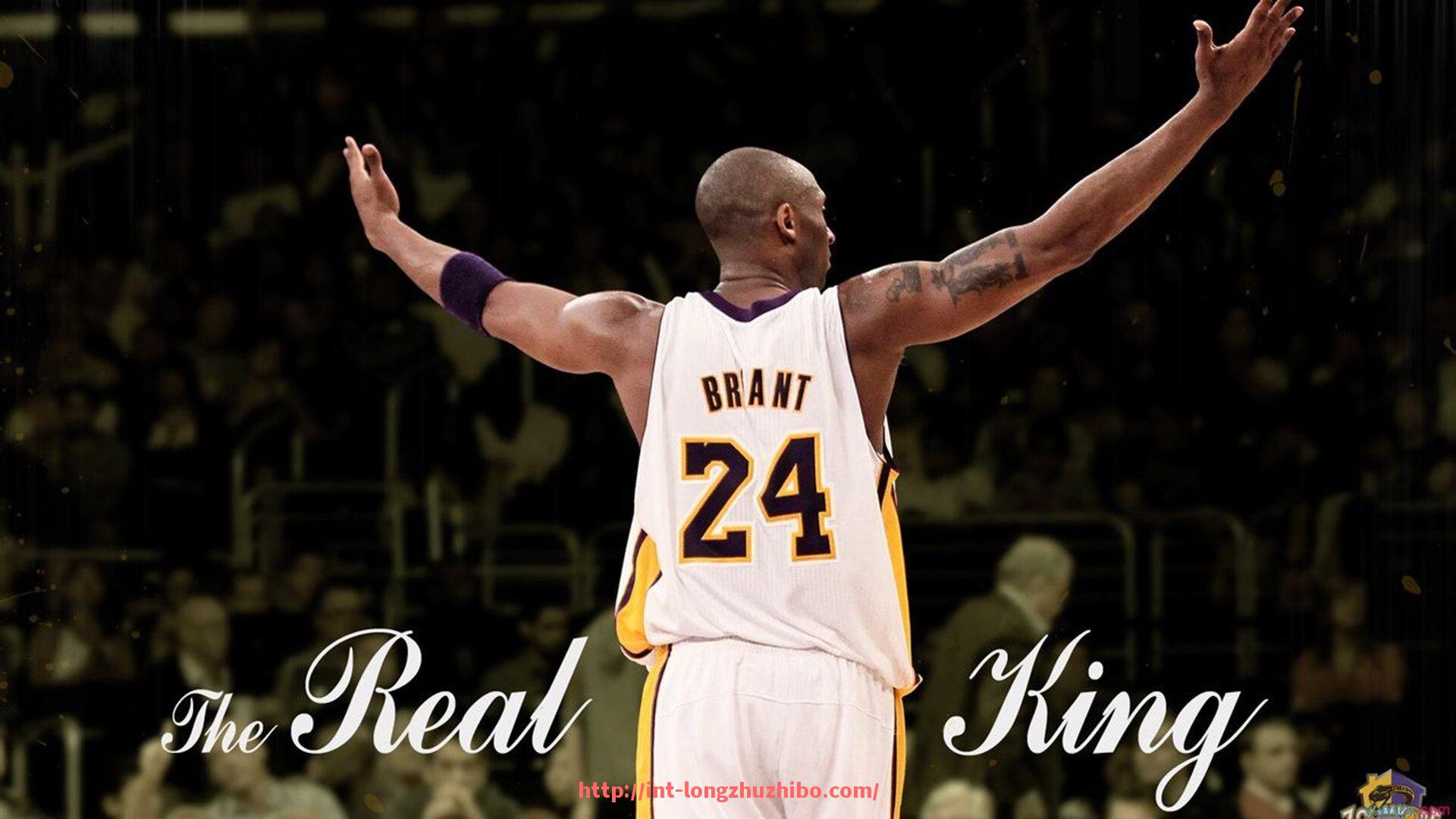 龙珠直播-佛山CBA球队2015年名单及赛季总结