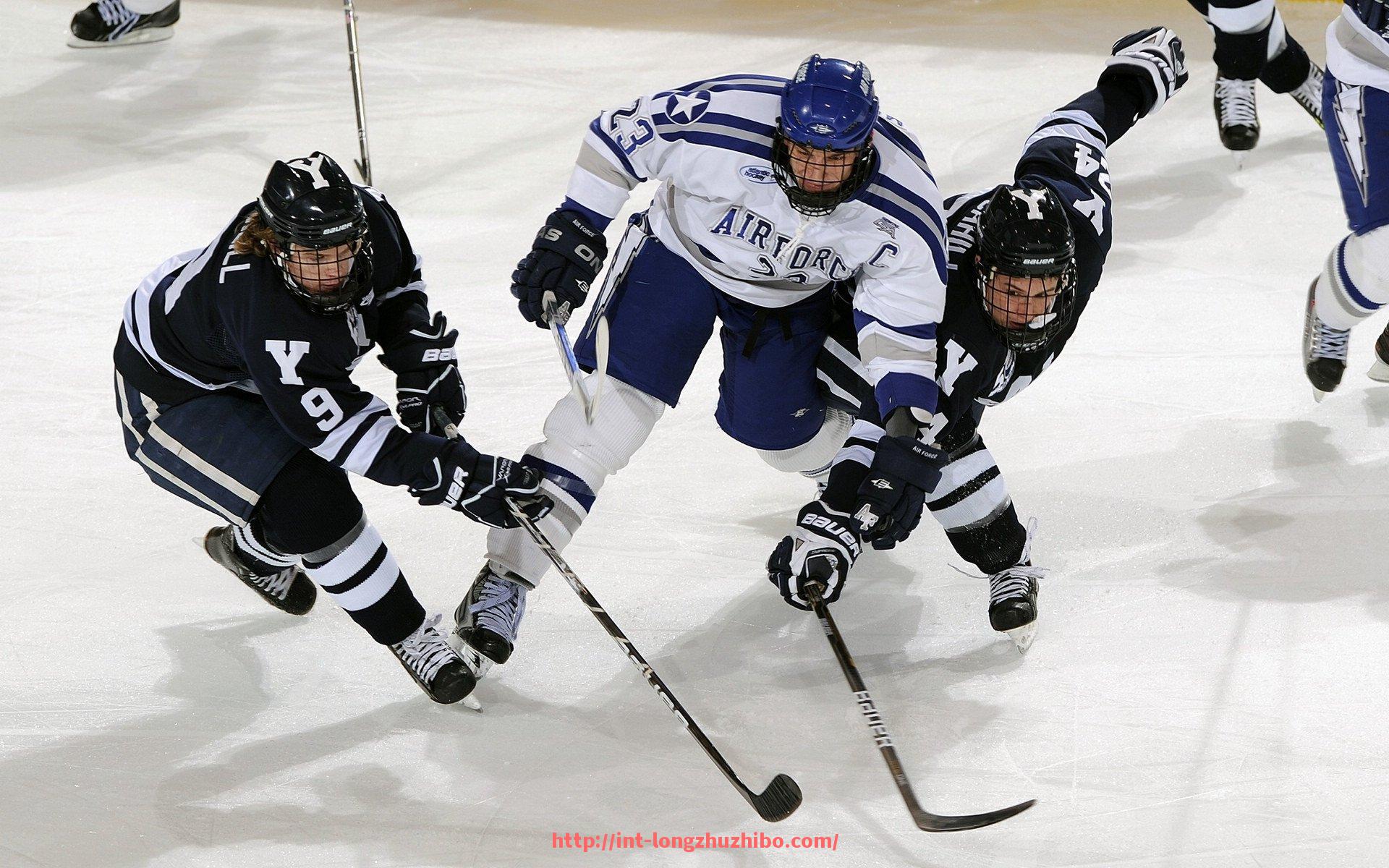 龙珠直播-德甲球队在国际比赛中的表现及参与国家赛事介绍