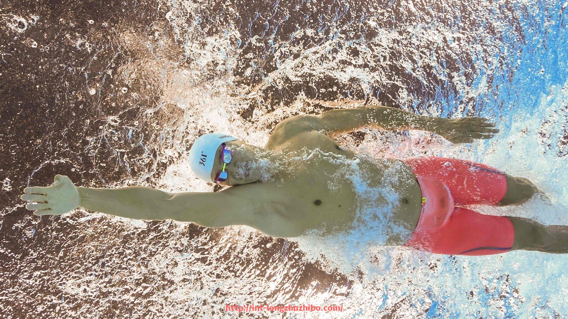 龙珠直播-练手臂健身器材：手臂力量训练专用健身器材推荐